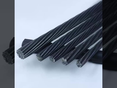 ইস্পাত ফ্রেড